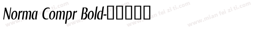 Norma Compr Bold字体转换